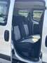 Fiat Qubo trekking - thumbnail 5