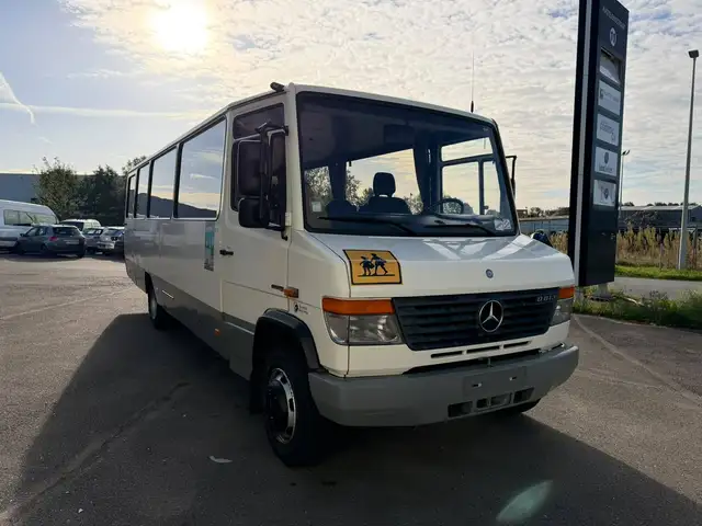 Mercedes-Benz Vario 0813 (Stock ID 50508)