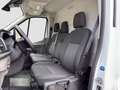 Ford Transit 2.0 TDCi 350 L3H2 Trend RWD AHK/Assistenzpaket/36 Weiß - thumbnail 12