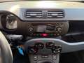 Fiat Panda Panda 1.0 FireFly S&S Hybrid Arancione - thumbnail 14