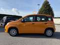 Fiat Panda Panda 1.0 FireFly S&S Hybrid Arancione - thumbnail 5
