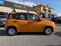 Fiat Panda Panda 1.0 FireFly S&S Hybrid Arancione - thumbnail 4