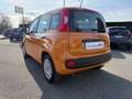 Fiat Panda Panda 1.0 FireFly S&S Hybrid Arancione - thumbnail 6
