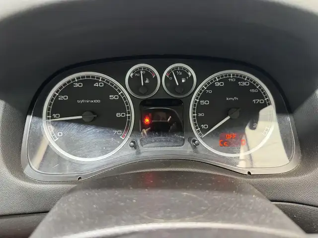 Peugeot 307 view 13