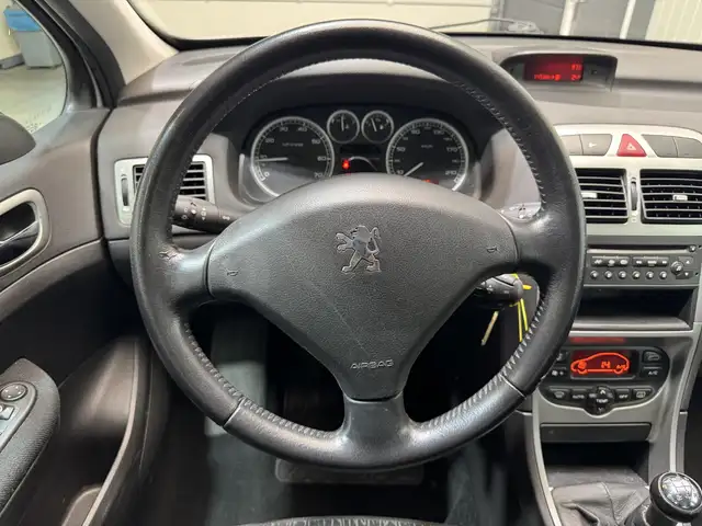 Peugeot 307 view 12