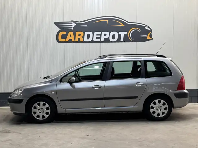 Peugeot 307 view 8