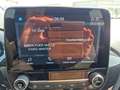 Ford Fiesta Active 1.0 EcoBoost EU6d-T Klima Navi ZV Blanco - thumbnail 11