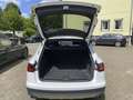 Audi A6 allroad A6 Allroad 3,0 TDI Intense Quattro tiptronic Intense Weiß - thumbnail 1