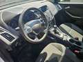 Ford Focus Focus Turnier Turnier 1.6 Ti-VCT Ambiente Weiß - thumbnail 14