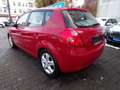 Kia Ceed / cee'd 2.0 CVVT , AUTOMATIK Rot - thumbnail 6