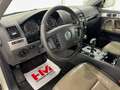 Volkswagen Touareg V6 3.0 TDI/Navi/R-Line/BiXen/Pano/PDC Blanc - thumbnail 10