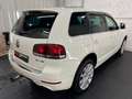 Volkswagen Touareg V6 3.0 TDI/Navi/R-Line/BiXen/Pano/PDC Blanc - thumbnail 6