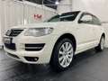 Volkswagen Touareg V6 3.0 TDI/Navi/R-Line/BiXen/Pano/PDC Blanc - thumbnail 1