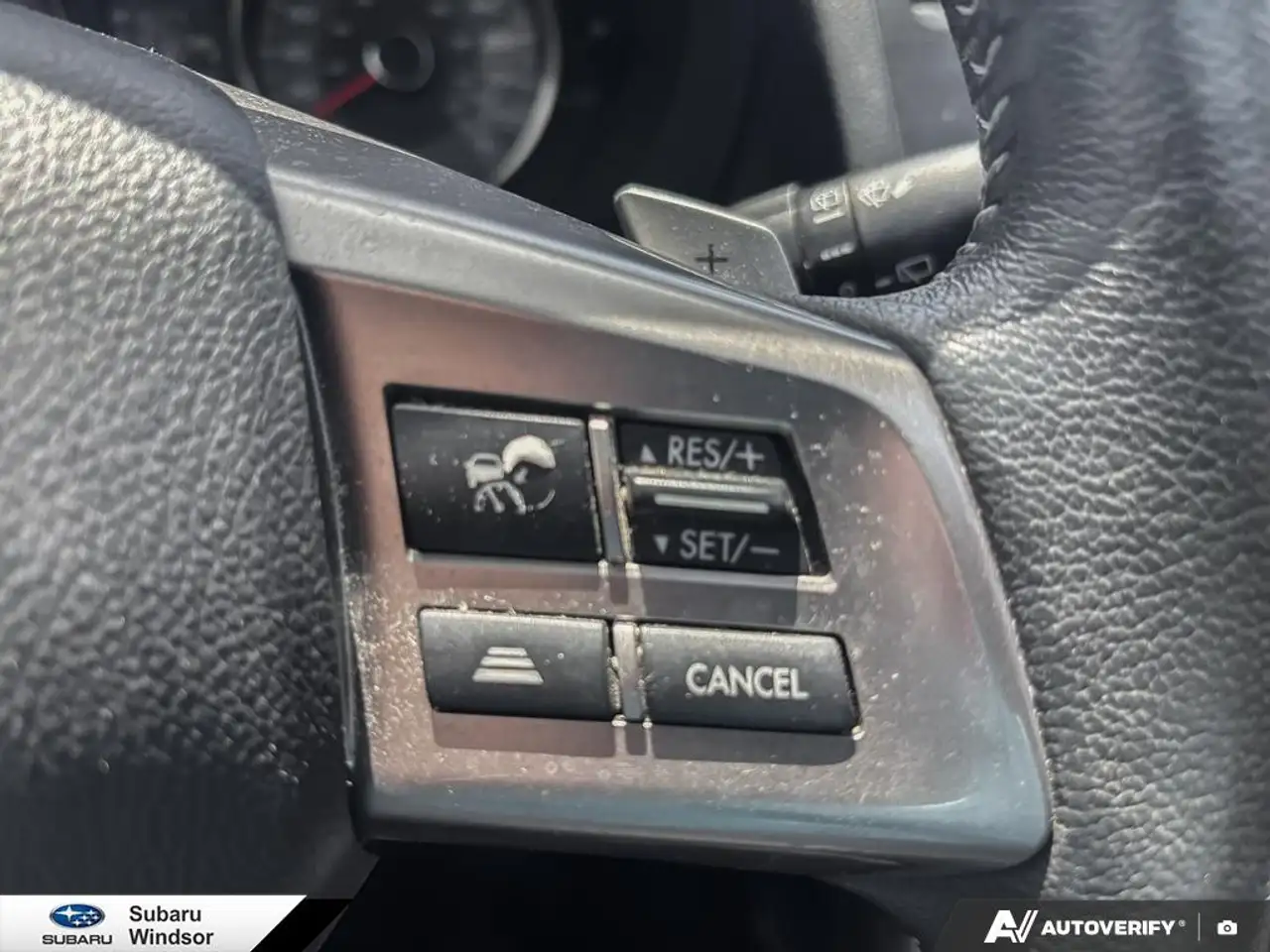 Subaru Forester photo Subaru Forester