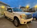 Ford F 150 Ford F 150 Doppia Cabina PLAUTINUM Blanc - thumbnail 3