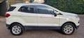 Ford EcoSport EcoSport 2014 1.5 tdci Titanium 95cv E6 Blanc - thumbnail 40