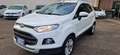 Ford EcoSport EcoSport 2014 1.5 tdci Titanium 95cv E6 Blanc - thumbnail 13