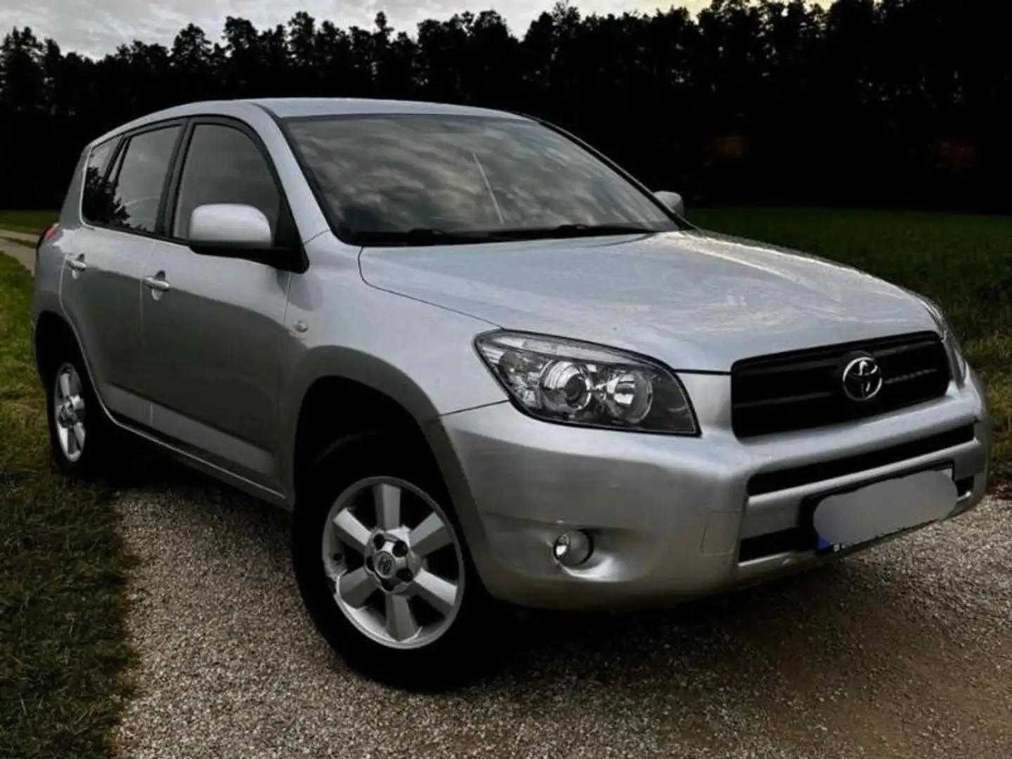 Toyota RAV 4 RAV 4 2.0 4x4 Executive Argento - 1