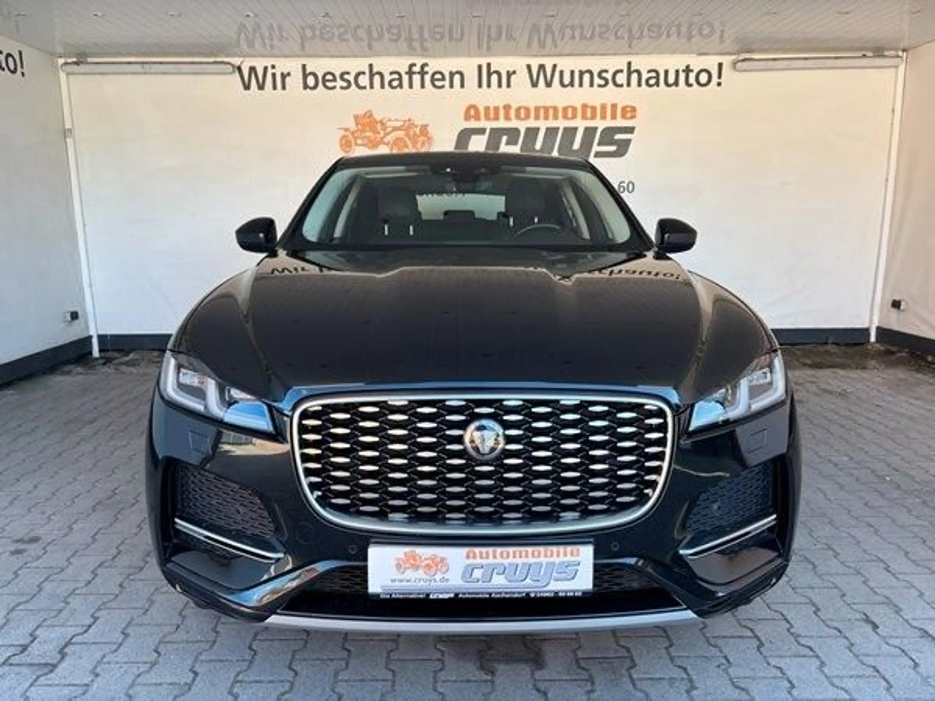 Jaguar F-Pace D200 AWD SE - AHK/LEDER/Standh./KAMERA- — photo 2