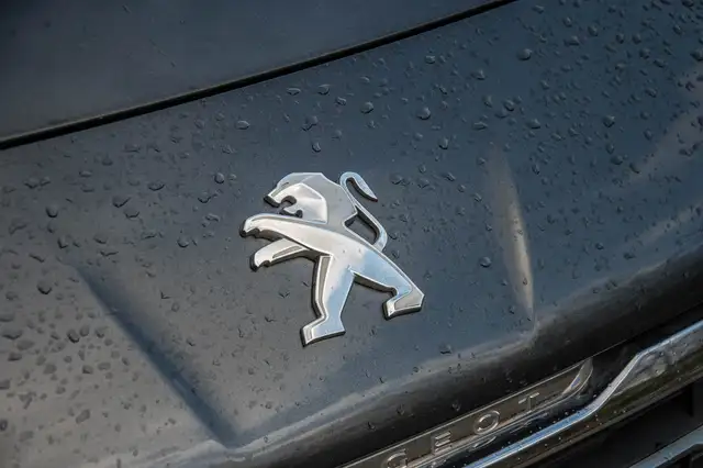 Peugeot 3008 view 5