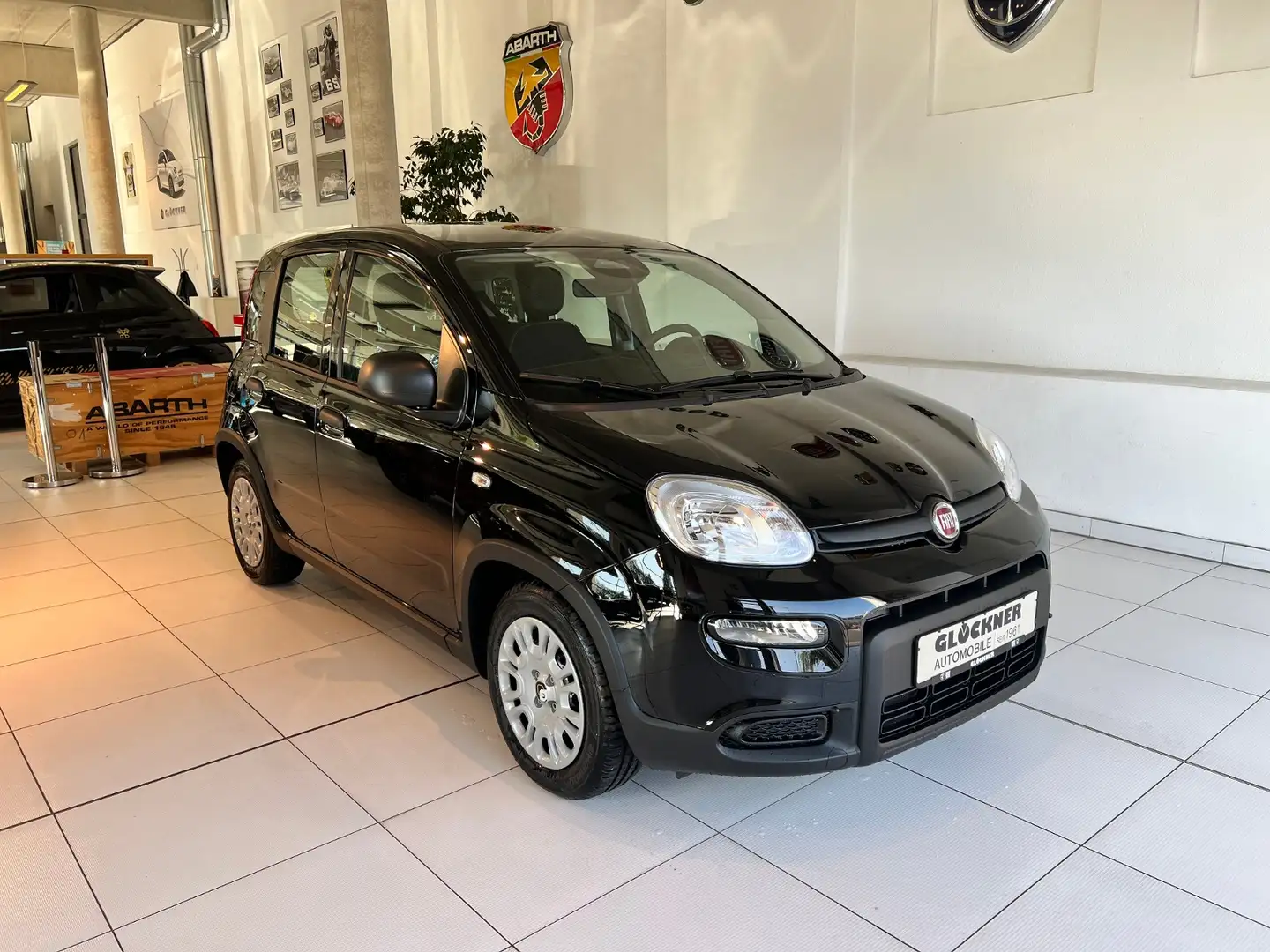 Fiat Panda Pandina Schwarz - 2