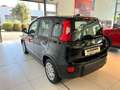 Fiat Panda Pandina Schwarz - thumbnail 6
