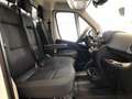 Citroen Jumper Heavy 35L3 140cv Ribaltabile mm 3800 Bianco - thumbnail 19