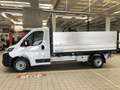 Citroen Jumper Heavy 35L3 140cv Ribaltabile mm 3800 Bianco - thumbnail 11