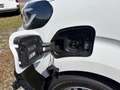 Toyota Proace Proace L1 verblecht 4-türig Meister 75 kWh Vollel Weiß - thumbnail 23