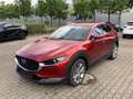 Mazda CX-30 2.5L e-SKYACTIV G 140ps Exclusive-Line Rouge - thumbnail 7