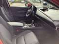 Mazda CX-30 2.5L e-SKYACTIV G 140ps Exclusive-Line Rouge - thumbnail 19