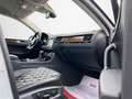Volkswagen Touareg V6 TDI BMT/Executive/Terrain/AHK/KAMERA Weiß - thumbnail 10