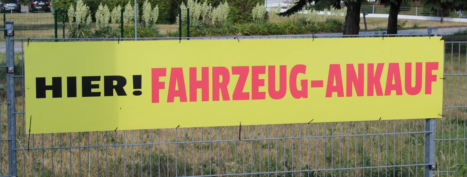 Ford B-Max Trend .Wenig Kilometer! Grau - 1