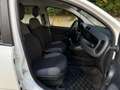 Fiat Panda Panda 1.2 Easy easypower Gpl 69cv solo km. 39.000 Blanc - thumbnail 16