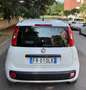 Fiat Panda Panda 1.2 Easy easypower Gpl 69cv solo km. 39.000 Blanc - thumbnail 6