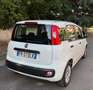 Fiat Panda Panda 1.2 Easy easypower Gpl 69cv solo km. 39.000 Blanc - thumbnail 7