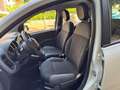 Fiat Panda Panda 1.2 Easy easypower Gpl 69cv solo km. 39.000 Blanc - thumbnail 11