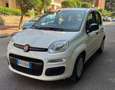 Fiat Panda Panda 1.2 Easy easypower Gpl 69cv solo km. 39.000 Blanc - thumbnail 3