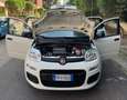 Fiat Panda Panda 1.2 Easy easypower Gpl 69cv solo km. 39.000 Blanc - thumbnail 22