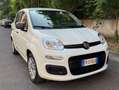 Fiat Panda Panda 1.2 Easy easypower Gpl 69cv solo km. 39.000 Blanc - thumbnail 1