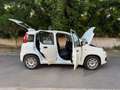 Fiat Panda Panda 1.2 Easy easypower Gpl 69cv solo km. 39.000 Blanc - thumbnail 23