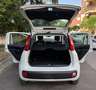 Fiat Panda Panda 1.2 Easy easypower Gpl 69cv solo km. 39.000 Blanc - thumbnail 25