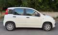 Fiat Panda Panda 1.2 Easy easypower Gpl 69cv solo km. 39.000 Blanc - thumbnail 8