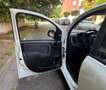 Fiat Panda Panda 1.2 Easy easypower Gpl 69cv solo km. 39.000 Blanc - thumbnail 9