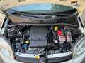 Fiat Panda Panda 1.2 Easy easypower Gpl 69cv solo km. 39.000 Blanc - thumbnail 20