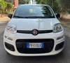 Fiat Panda Panda 1.2 Easy easypower Gpl 69cv solo km. 39.000 Blanc - thumbnail 2