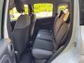 Fiat Panda Panda 1.2 Easy easypower Gpl 69cv solo km. 39.000 Blanc - thumbnail 18