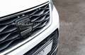 SEAT Ateca Style TSI Allwetter, CarPlay, Front Assist Weiß - thumbnail 7