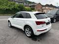 Audi Q5 40 TDI  quattro S line Pano|ACC|VC+|Kam|HUD Blanco - thumbnail 4