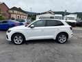Audi Q5 40 TDI  quattro S line Pano|ACC|VC+|Kam|HUD Blanco - thumbnail 3